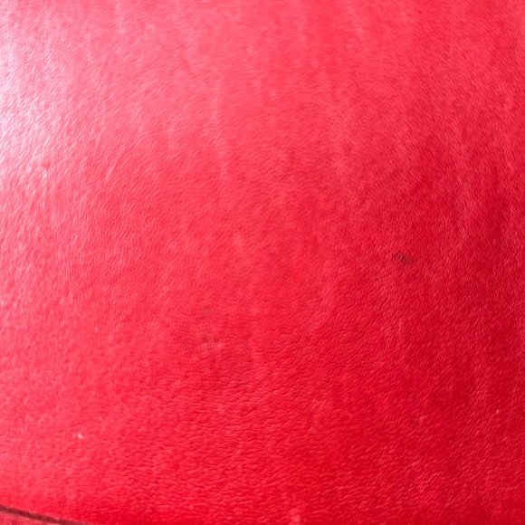 Red Ergo Flap Bag - Picture 5 of 6